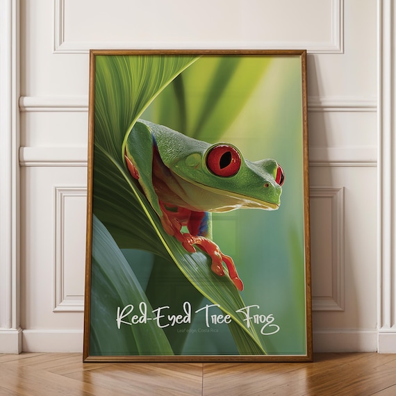 Redeyed Tree Frog Framed Poster Tropical Kids Nursery Wall Art