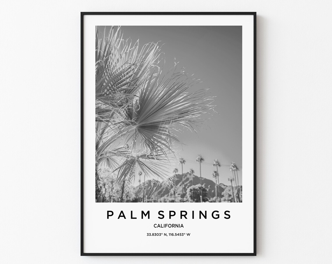 Palm Springs California Palm Tree Black and White Photo Poster