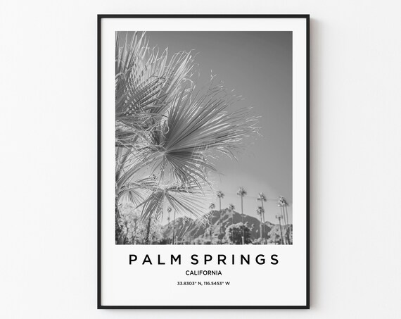 Palm Springs California Palm Tree Black and White Photo Poster