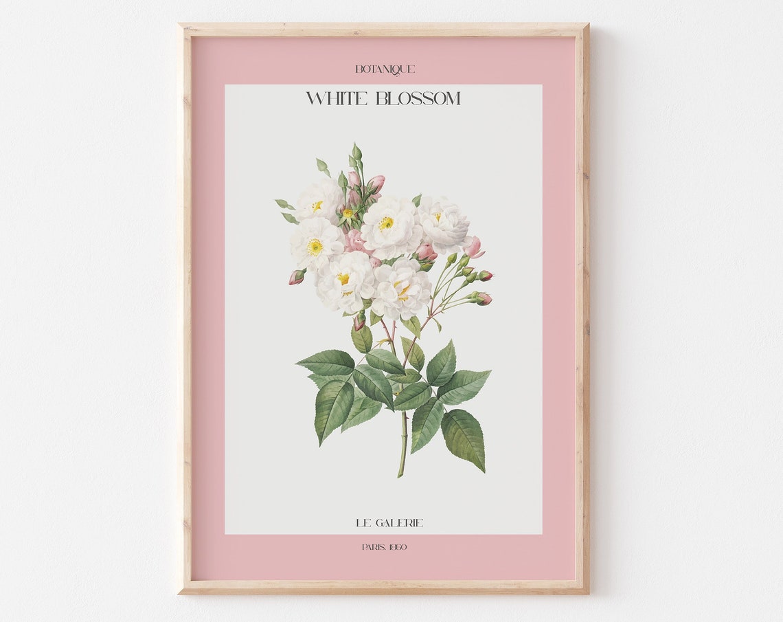 Botanique White Blossom Vintage Botanical Pink Gallery Poster - Image 3