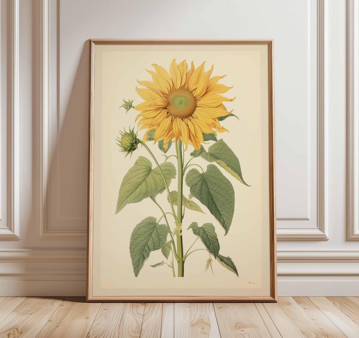 Vintage Sunflower Botanical Illustration Yellow Flower Poster