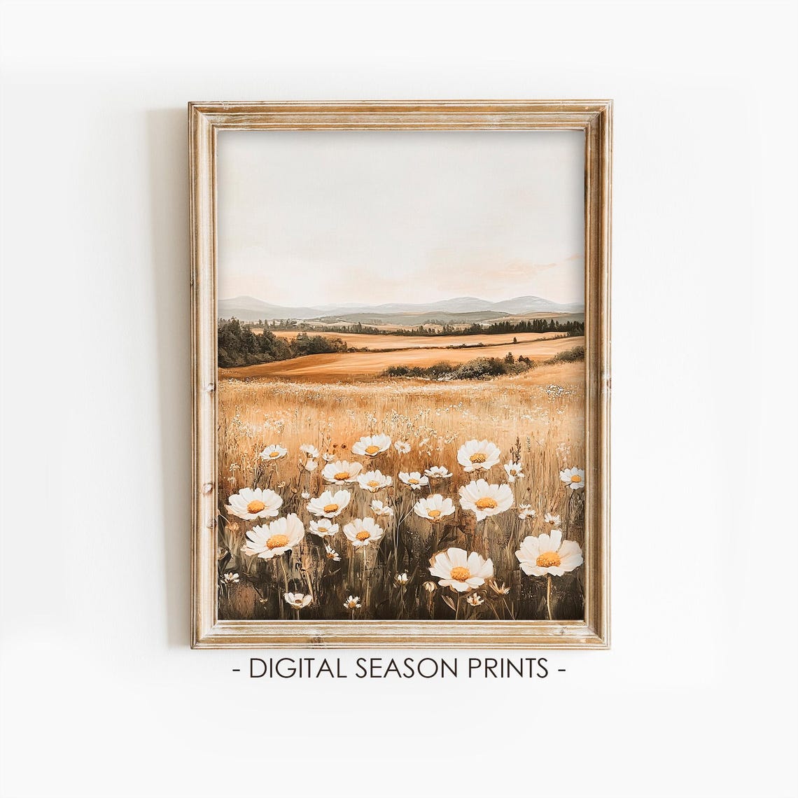 White Daisy Golden Field Rolling Hills Rustic Fall Wildflower Poster