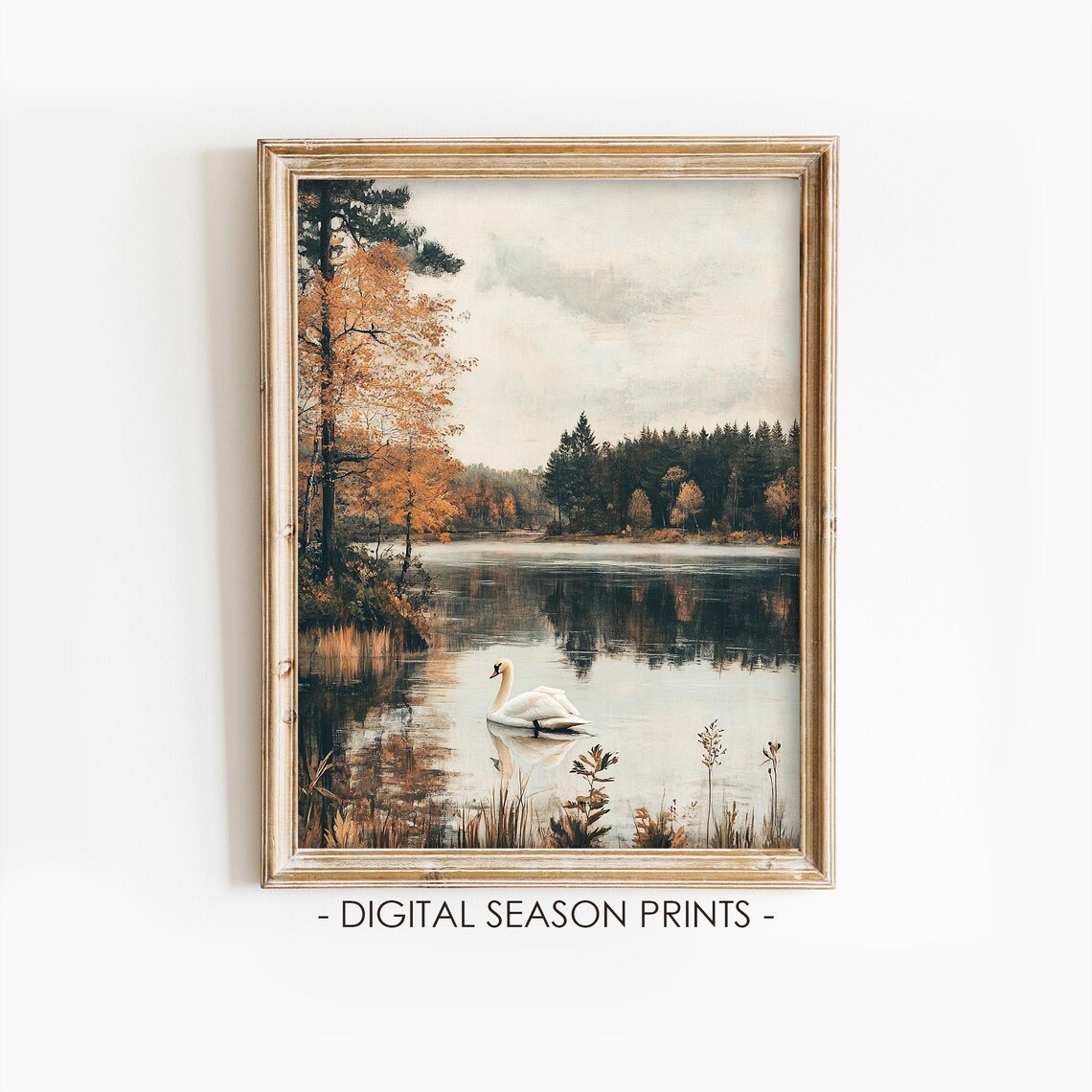 Graceful White Swan Gliding Across A Golden Autumn Lake Poster
