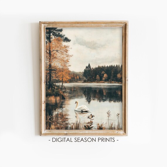 Graceful White Swan Gliding Across A Golden Autumn Lake Poster