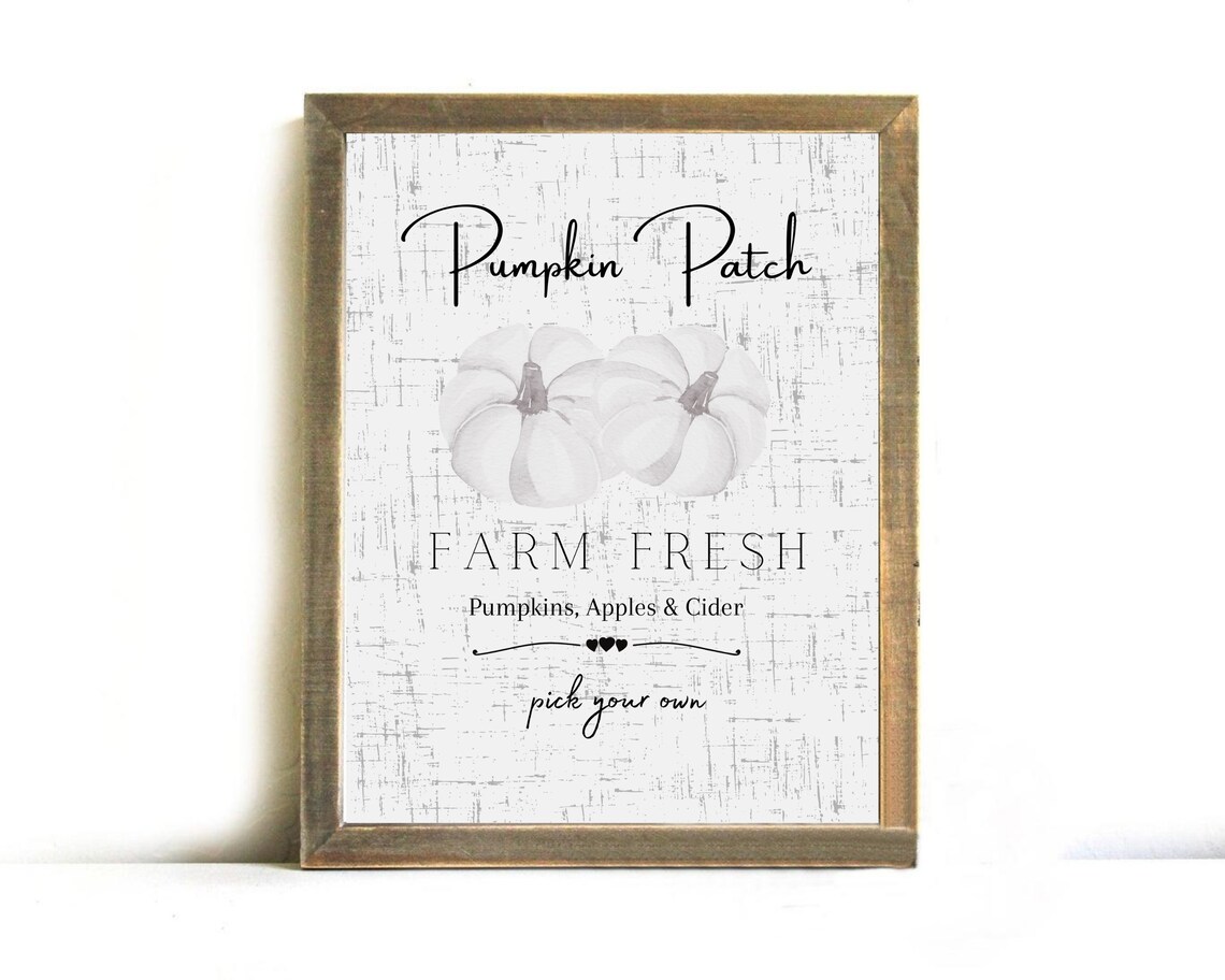 Pumpkin Patch Farm Fresh White Pumpkins Distressed Fall Sign Wall Poster - Image 2
