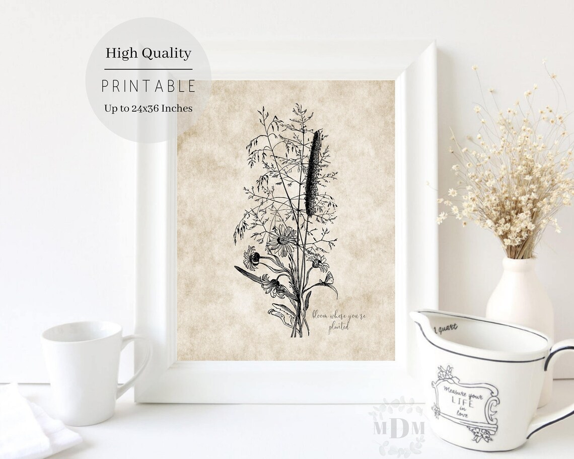 Vintage Wildflower Botanical Illustration Bloom Where Youre Planted Print - Image 5