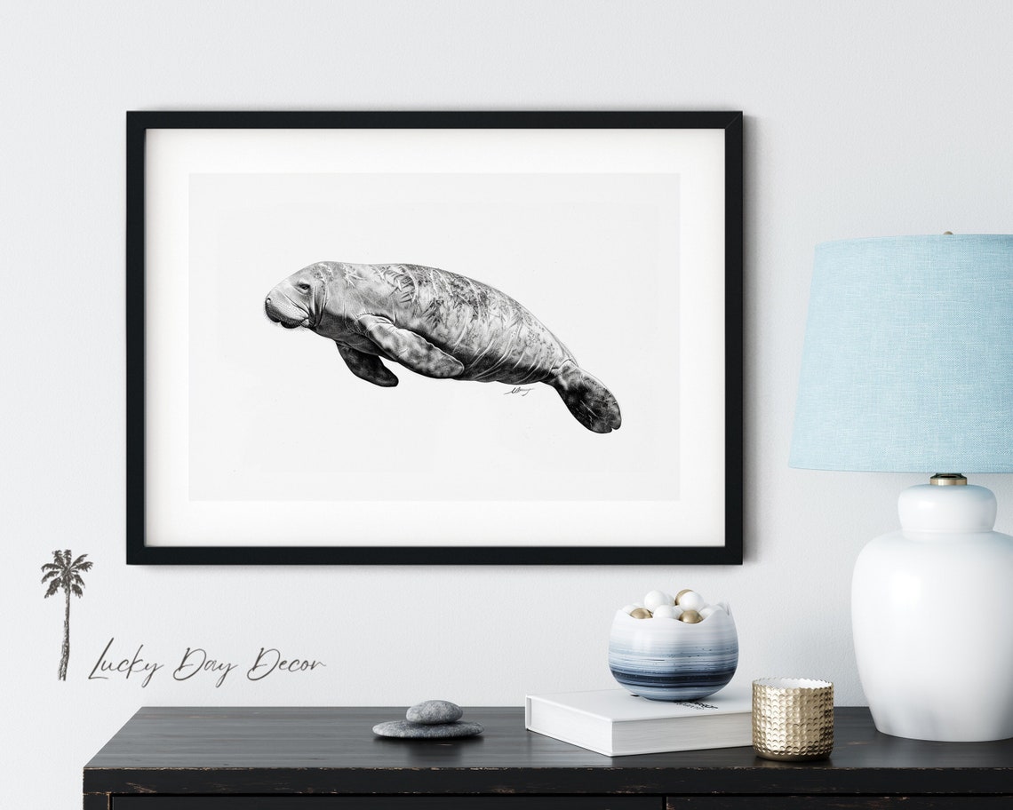 Manatee Black And White Sketch Minimalist Sea Life Drawing Poster