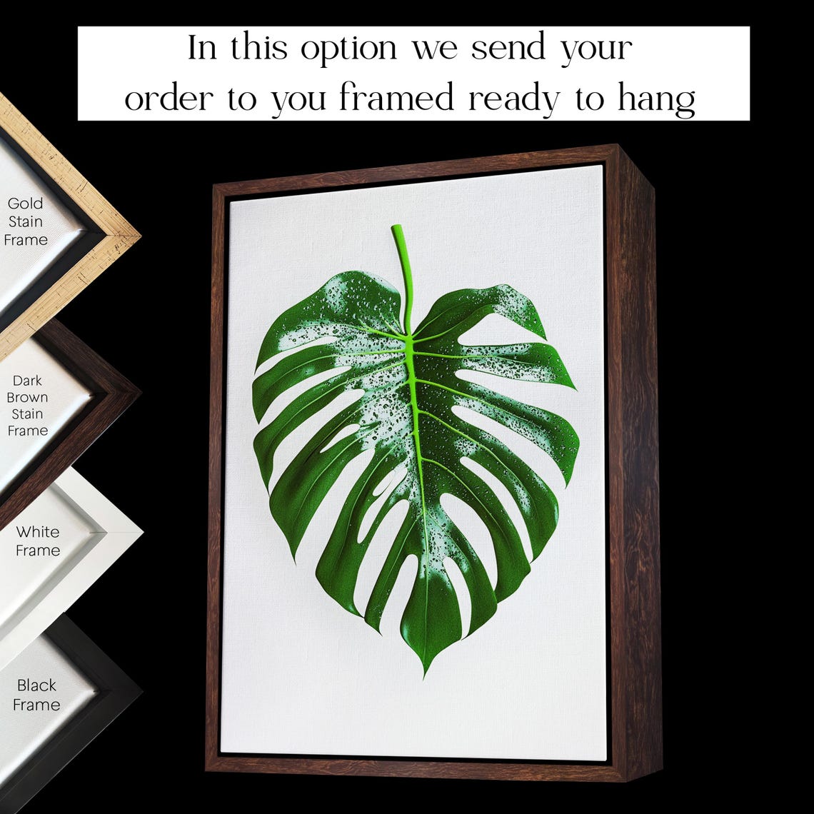 Single Green Monstera Leaf on White Minimal Botanical Art Poster - Image 3