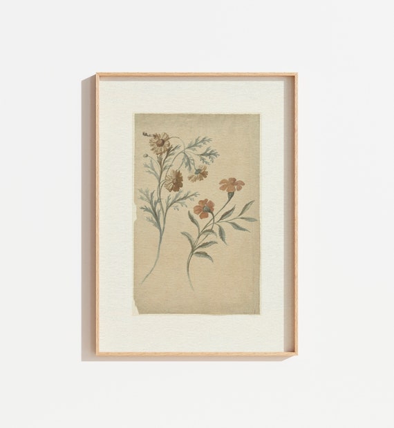 Vintage Neutral Cream Botanical Sketch Print