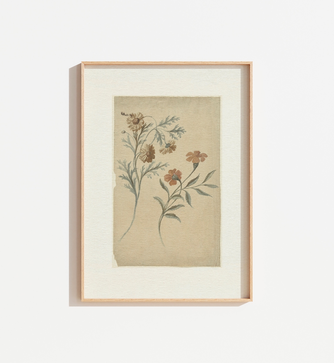 Vintage Neutral Cream Botanical Sketch Print