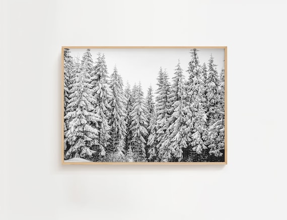 Snow Covered Pine Trees Black White Winter Forest Photo Poster