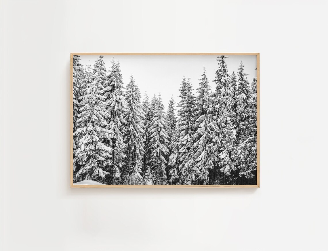 Snow Covered Pine Trees Black White Winter Forest Photo Poster