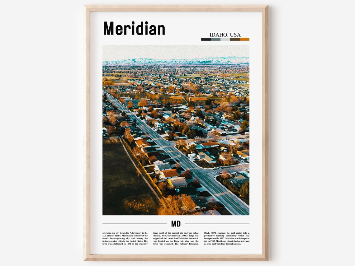 Meridian Idaho Aerial Suburb City Mountain View Photo Poster