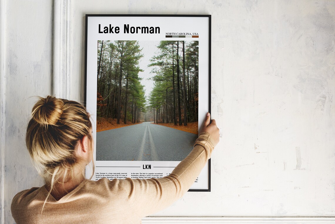 Lake Norman North Carolina Travel Poster Pine Forest Road Photo View - Image 2
