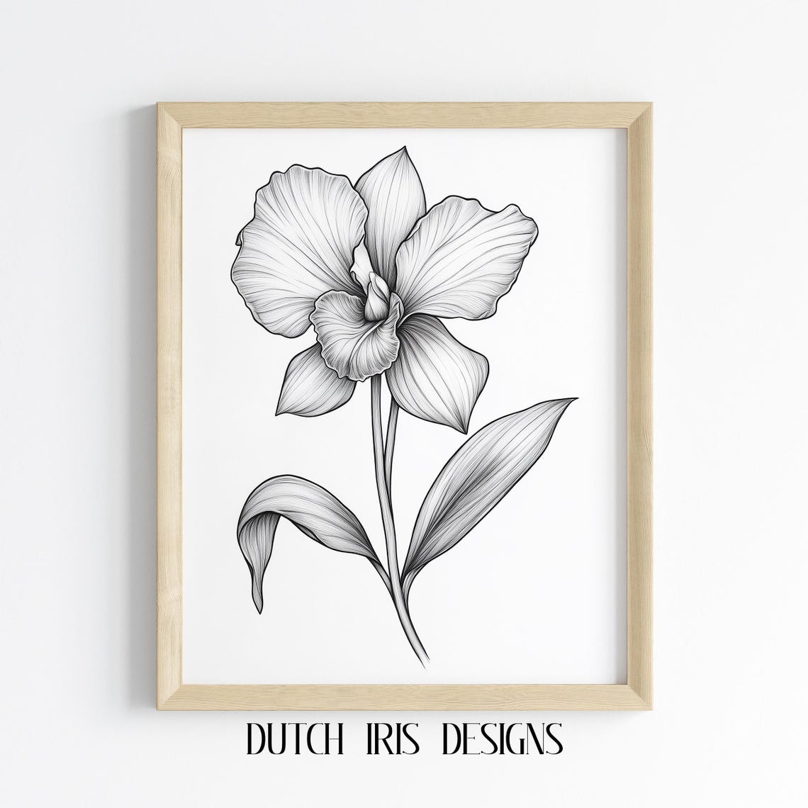 Orchid Blossom Black Line Drawing Bold Botanical Floral Poster