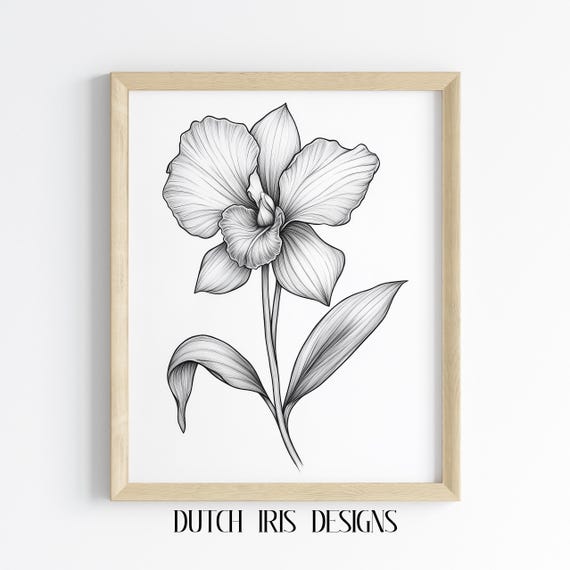 Elegant Orchid Line Drawing Bold Black Floral Art Print Botanical Wall Minimalist Decor Graceful Flower Illustration 503