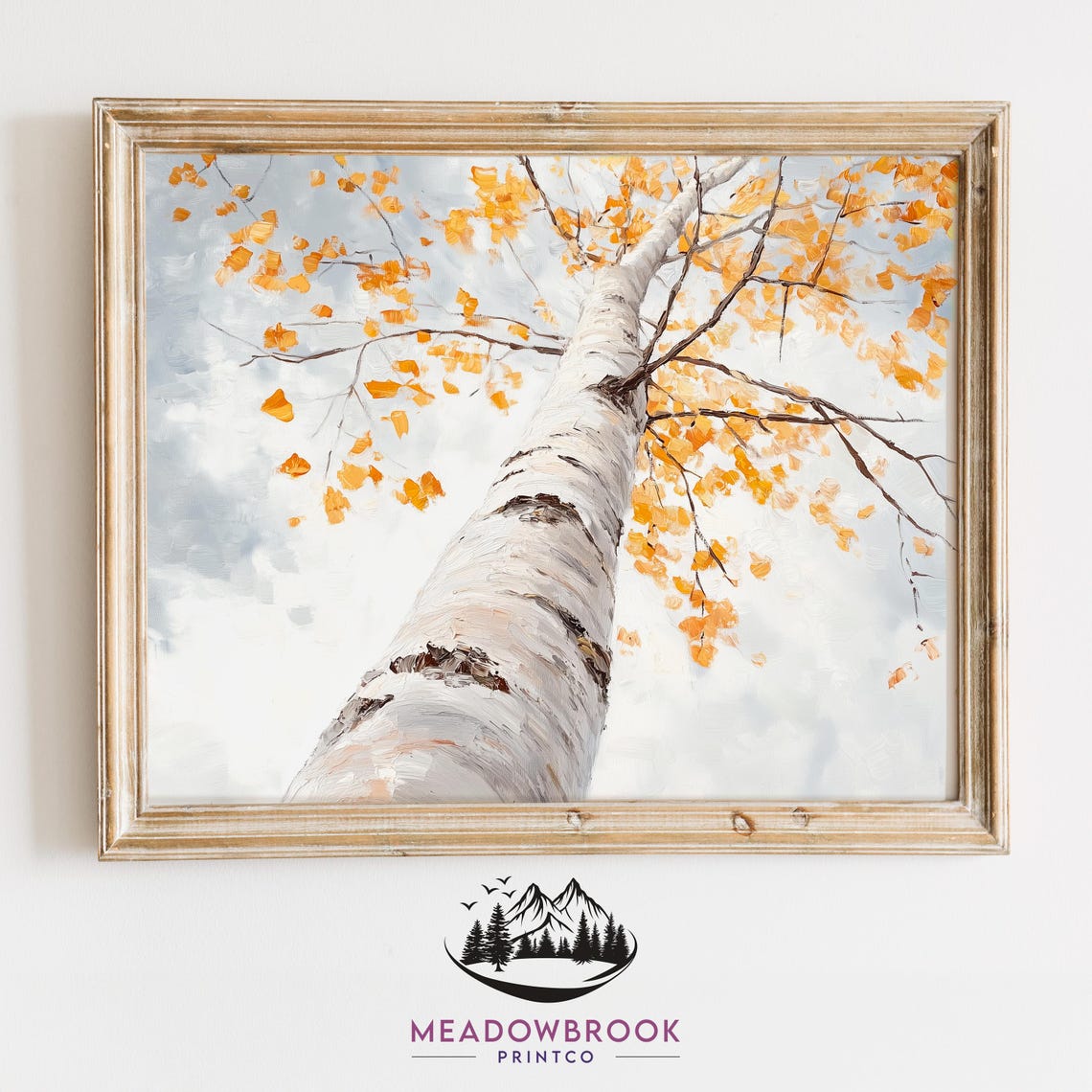 White Birch Trunk Viewed From Below With Golden Autumn Leaves Wall Art