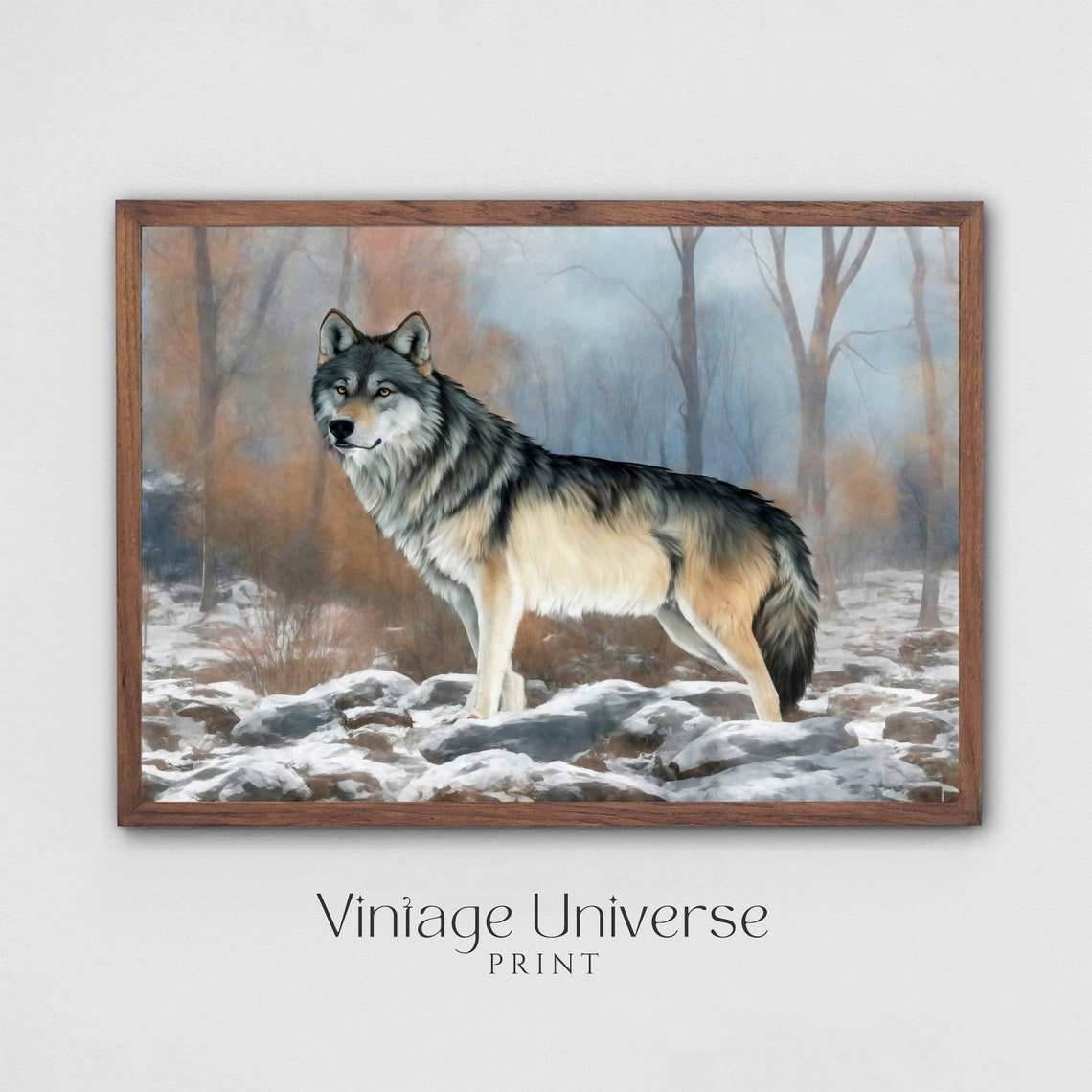Grey Wolf Snowy Rocks Winter Forest Scene Majestic Wildlife Print - Image 4