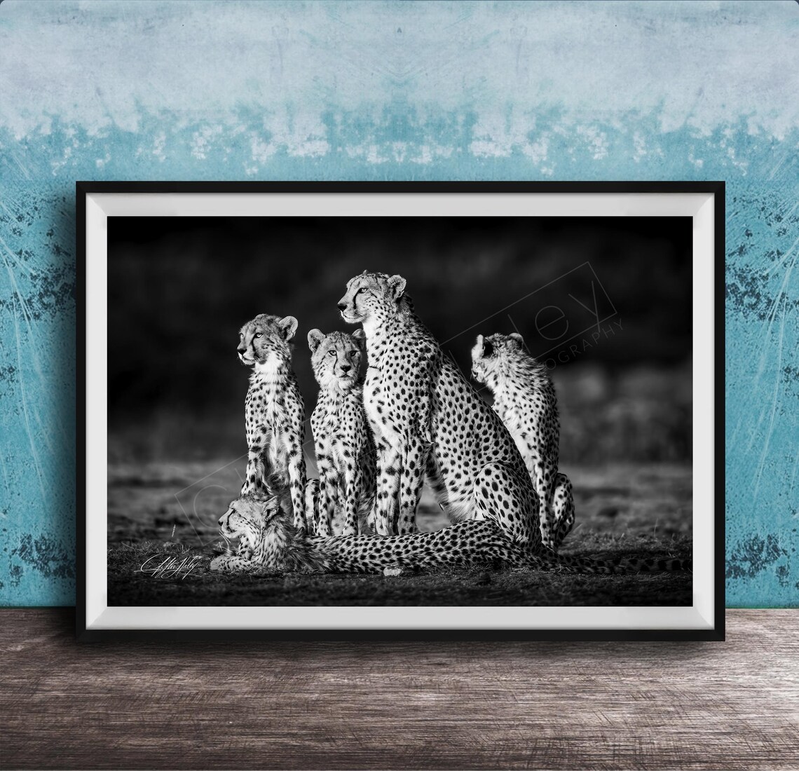 Cheetah Cubs With Mother Black And White Savanna Wildlife Poster