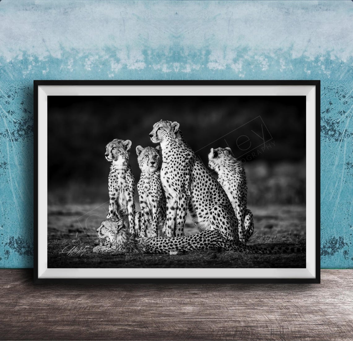 Safari Cheetah Wall Art Black And White Maasai Print Unframed
