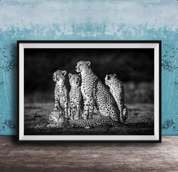 Safari Cheetah Wall Art Black And White Maasai Print Unframed