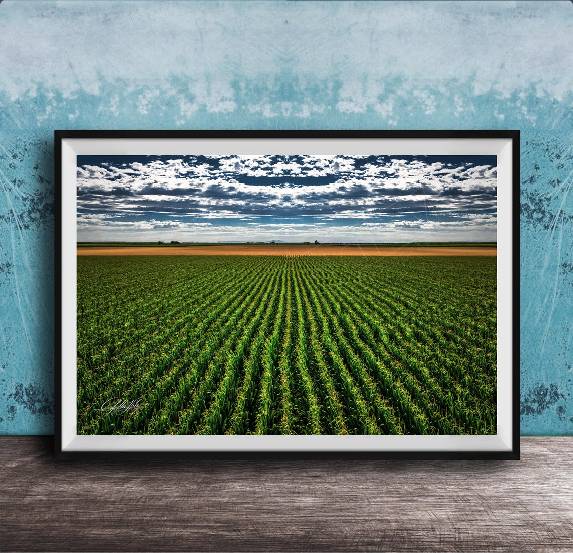 Endless Green Crop Rows Under a Dramatic Cloudy Sky Farm Print