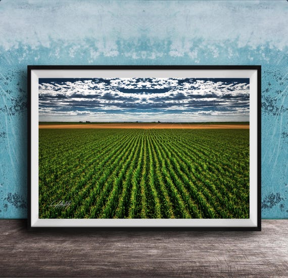 Cornfield Art Print Summer Sunset Rustic Countryside Scene