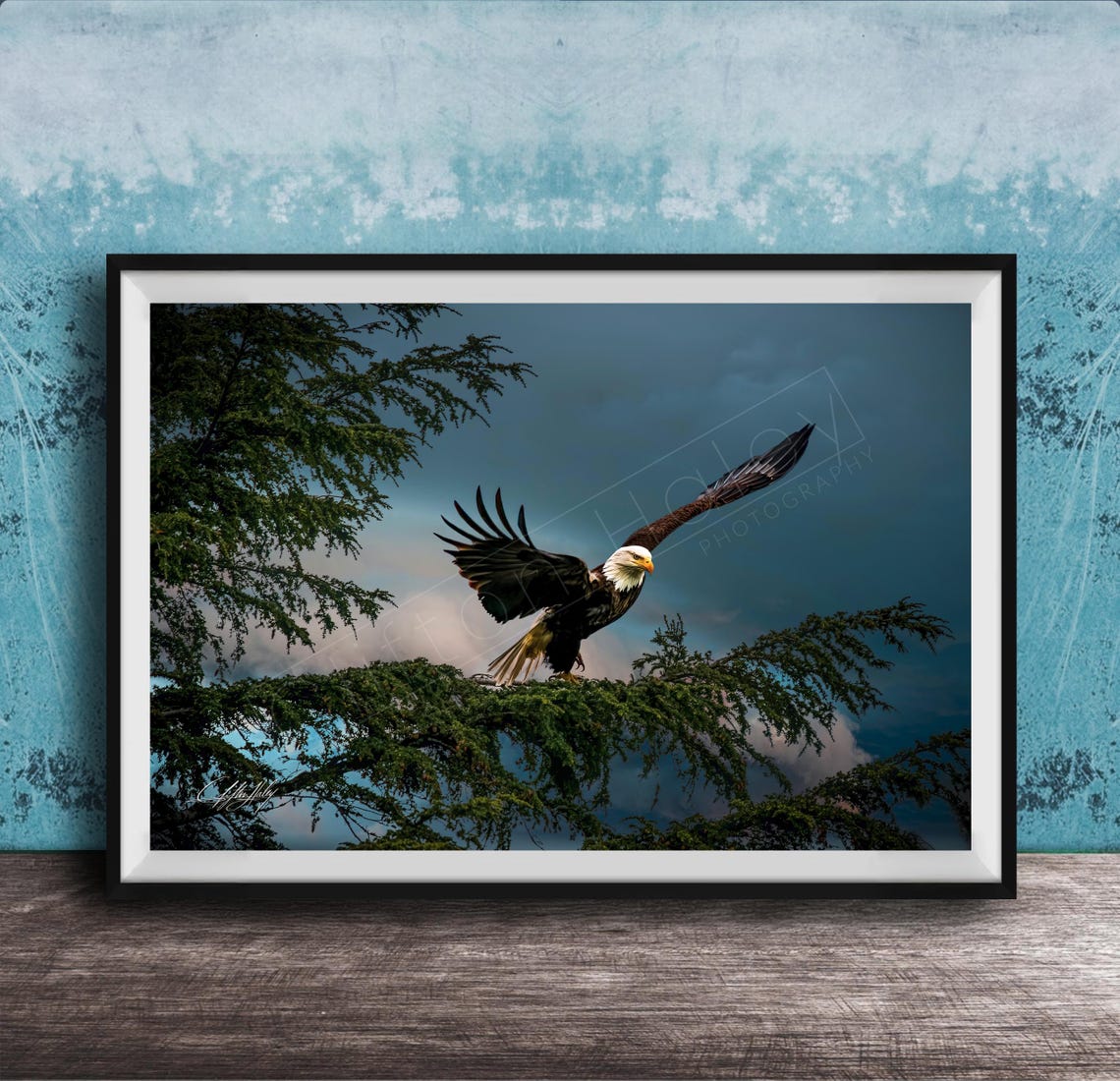Bald Eagle Spreading Wings on a Branch Against Storm Clouds Poster