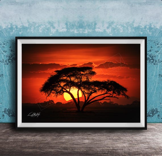 Savannah Elephant Print African Wildlife Scene Canvas Or Framed