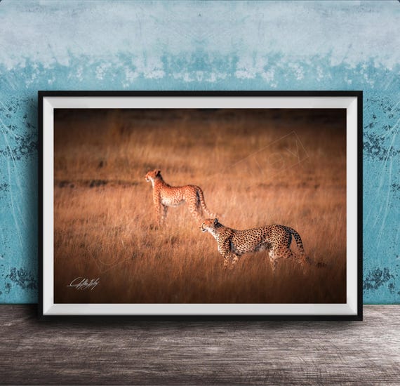 Cheetah Wall Art Bright Boho Safari Inspired By Maasai Culture