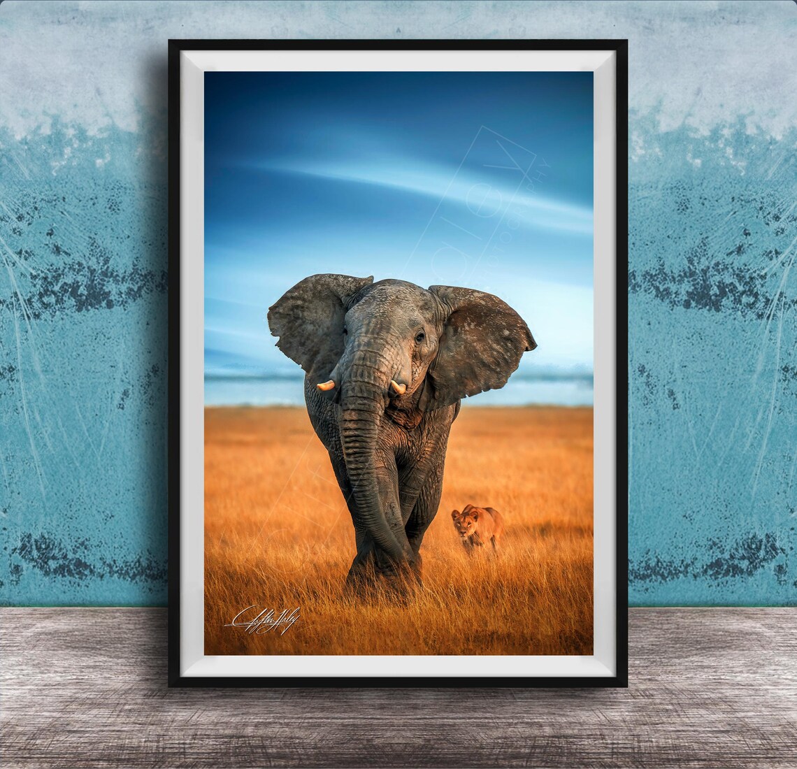 Elephant and Lioness in Golden Savanna Safari Photography Poster