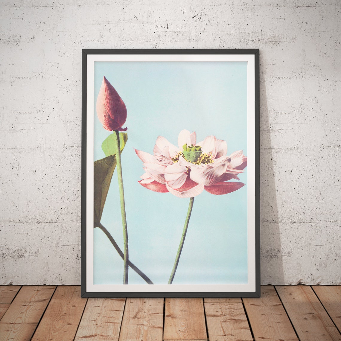 Pink Lotus Bloom and Bud Japanese Watercolor Botanical Art Poster