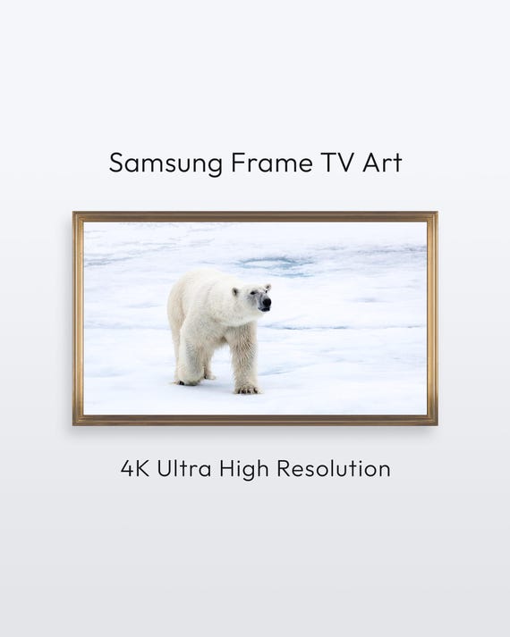 Polar Bear Samsung Frame Tv Art Nature Photography 4k Print