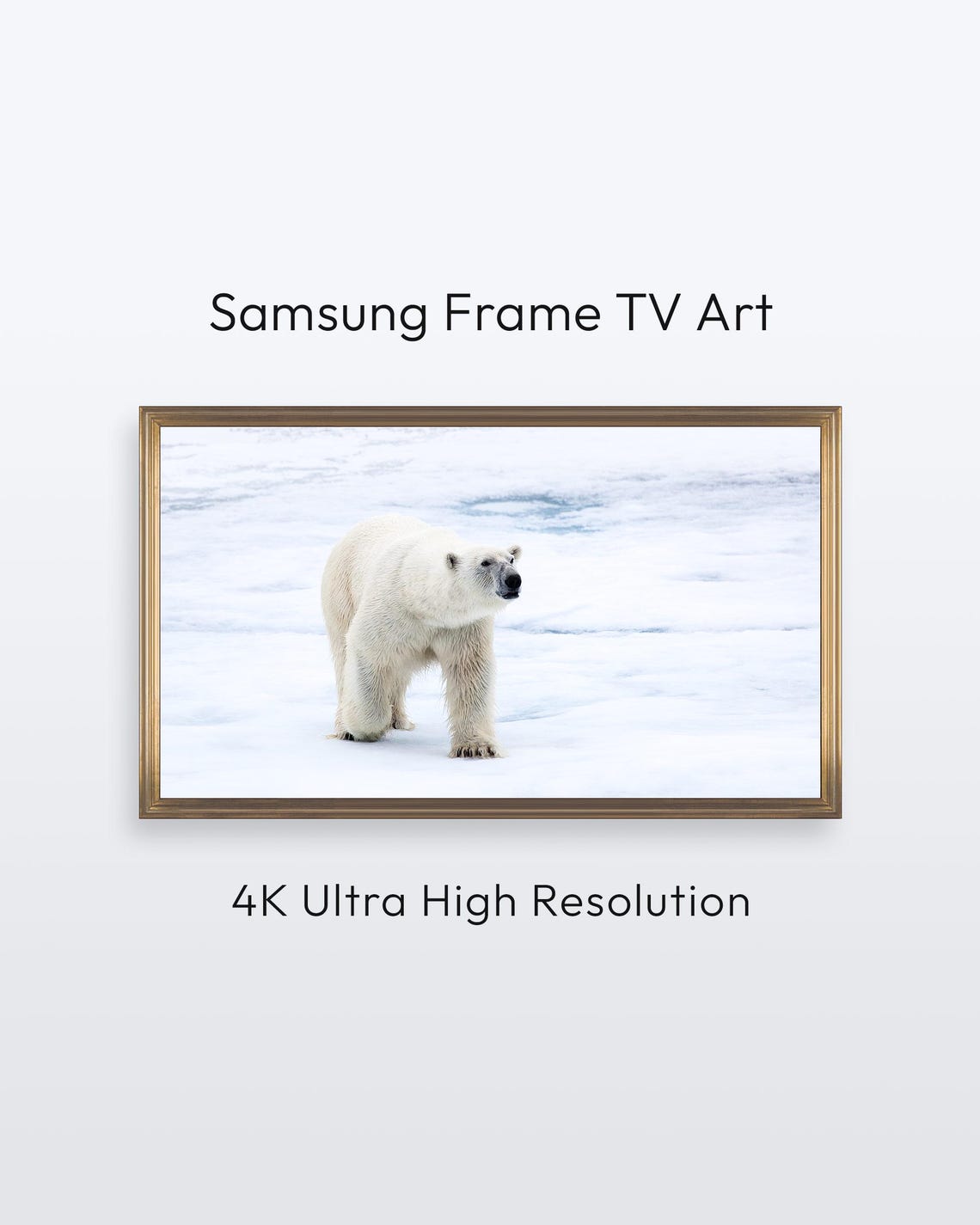 Polar Bear Samsung Frame Tv Art Nature Photography 4k Print