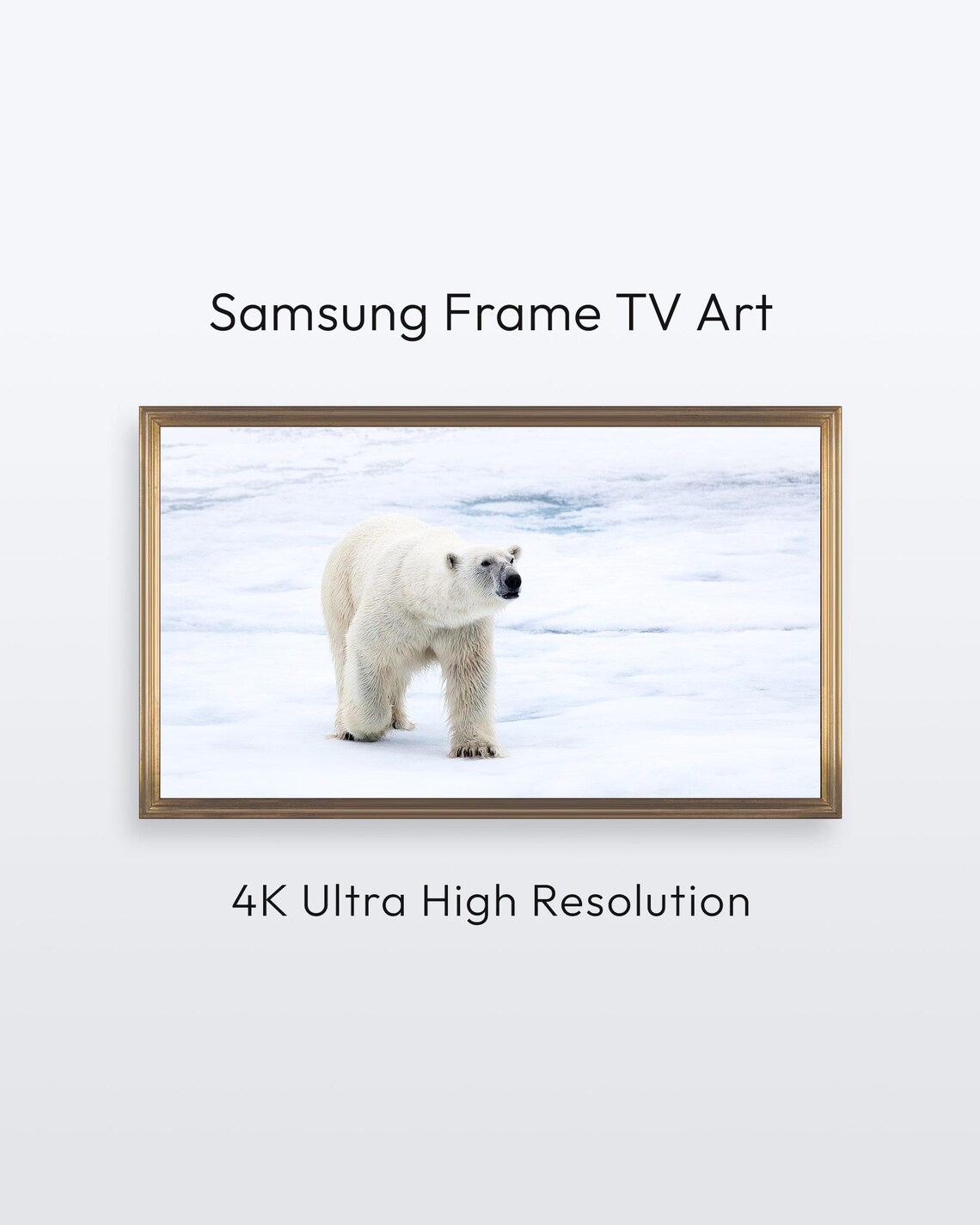 Polar Bear Walking Across Arctic Sea Ice Wildlife Photo Poster