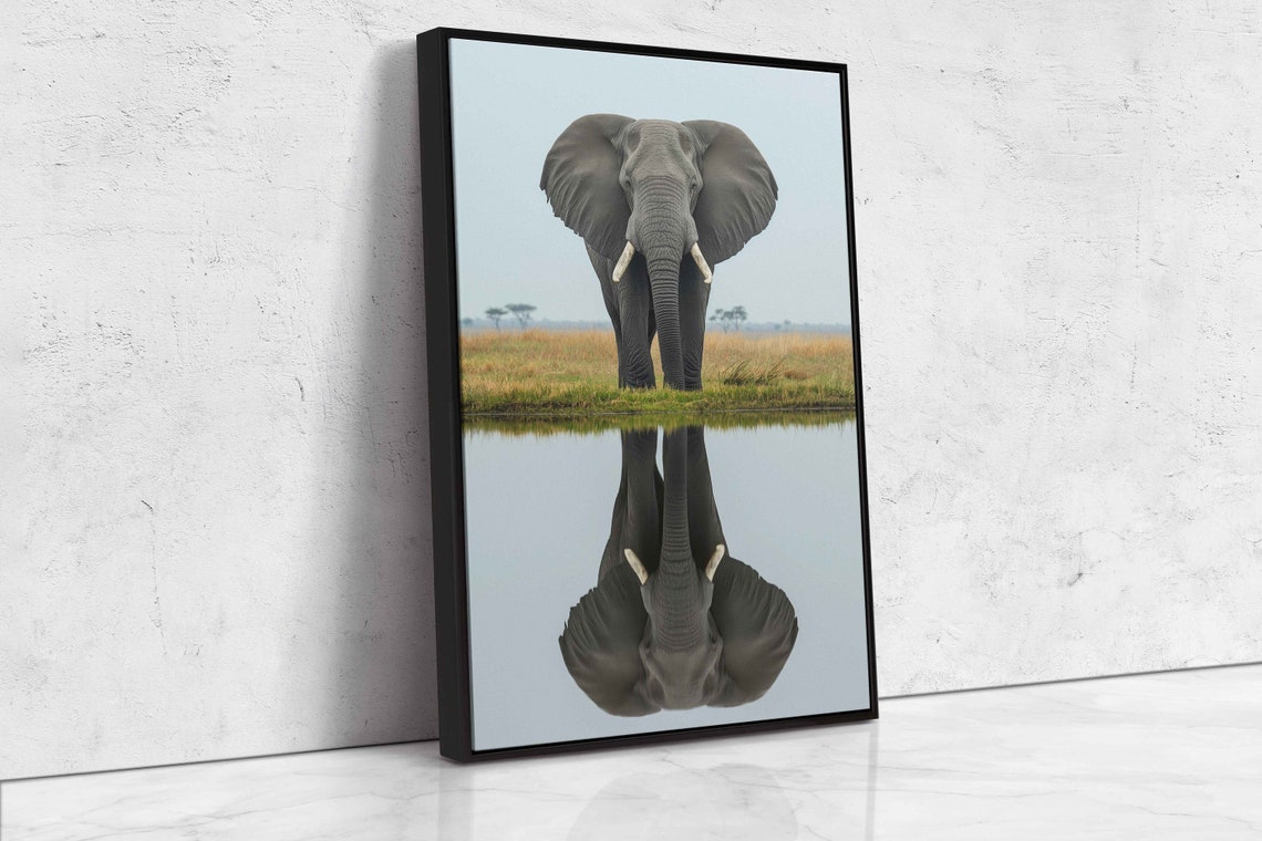 African Elephant With Reflection In Water Wildlife Art Print - Image 4
