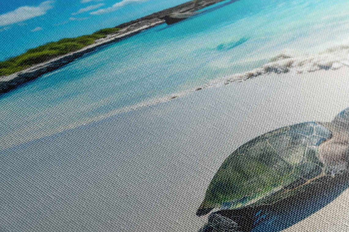 Sea Turtle On White Sand Beach Turquoise Waves Panoramic Poster - Image 2