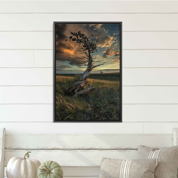 Lone Dead Tree In The Middle Of Barren Field With Cloudy Skies Wall Art Print Nature Photo Ready To Hang