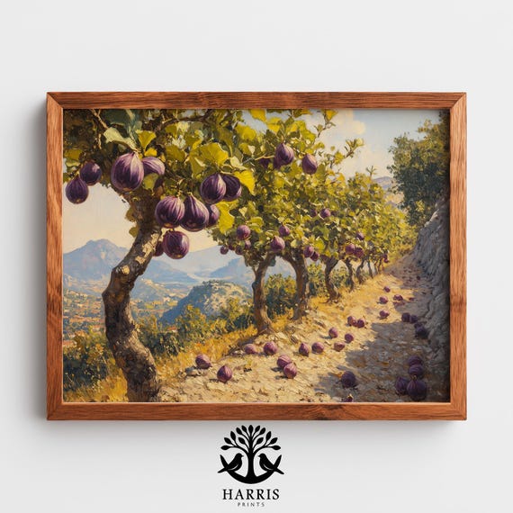 Rustic Provenal Fig Orchard Sunlit Mediterranean Hillside Landscape Art Serene Countryside Decor 377