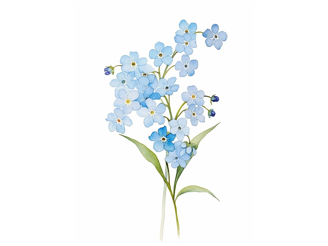 Forget Me Nots Watercolor Art Print, Floral Blue Flowers