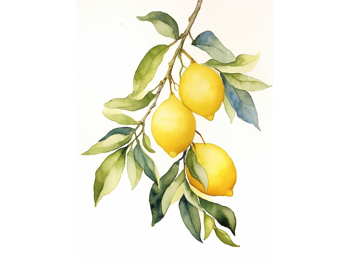Lemon Watercolor Art Print, Botanical Kitchen Decor
