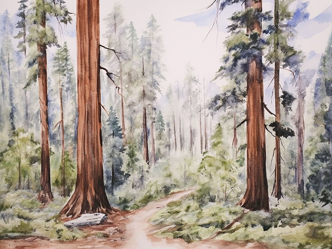 Sequoia Painting National Park Watercolor Art Print