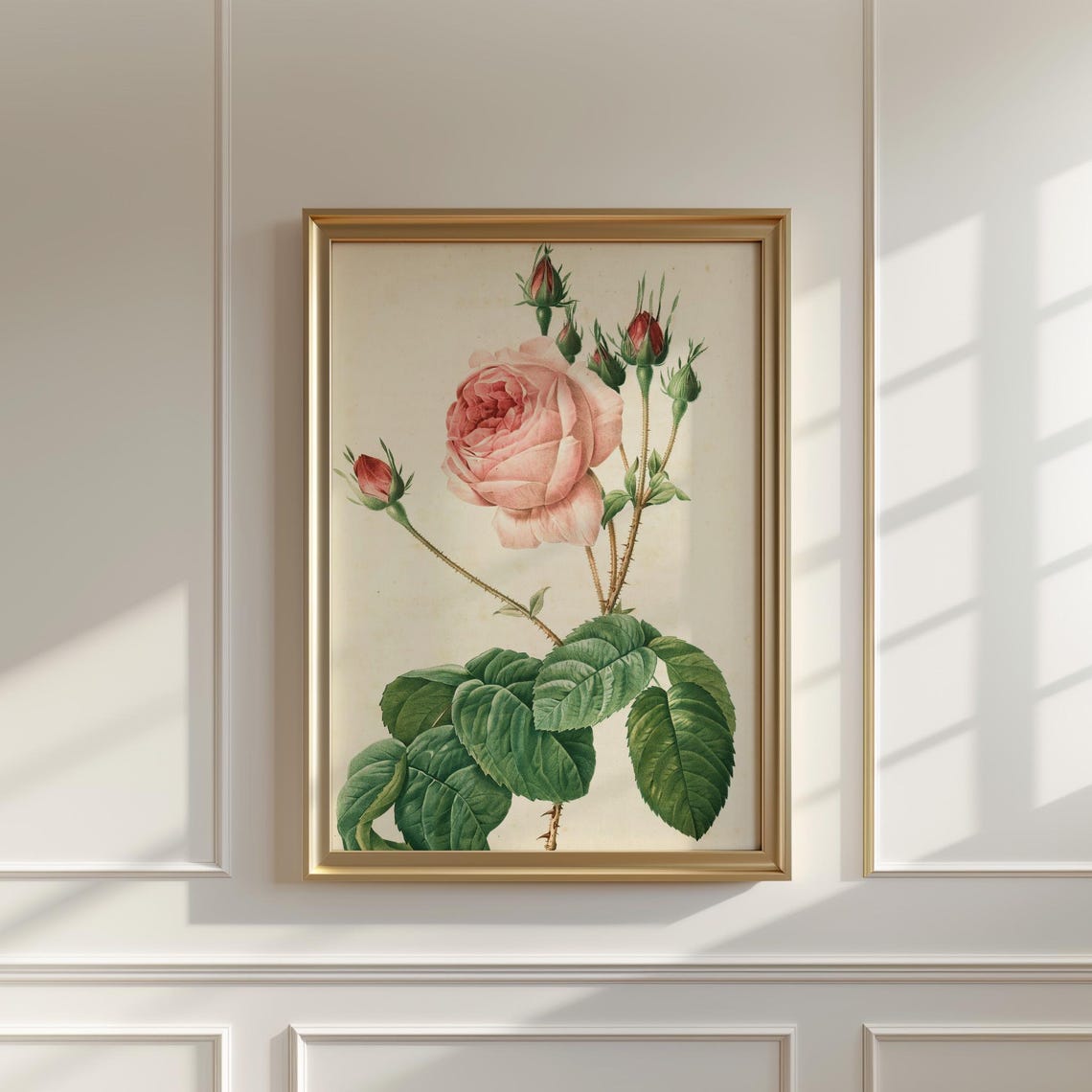 Single Blush Pink Rose Bloom with Buds Vintage Botanical Poster - Image 5