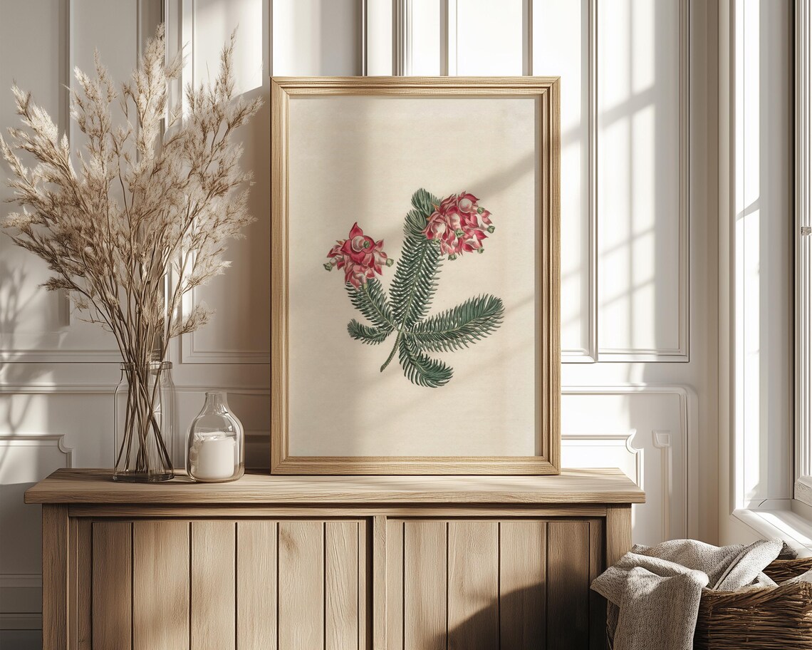 Pink Grevillea Blooms With Ferny Foliage Botanical Decor Print - Image 4