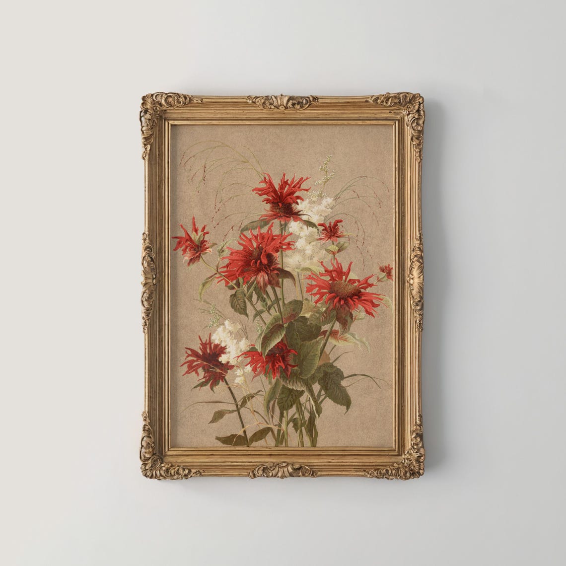 Scarlet Bee Balm Wildflowers on Warm Tan Botanical Art Poster