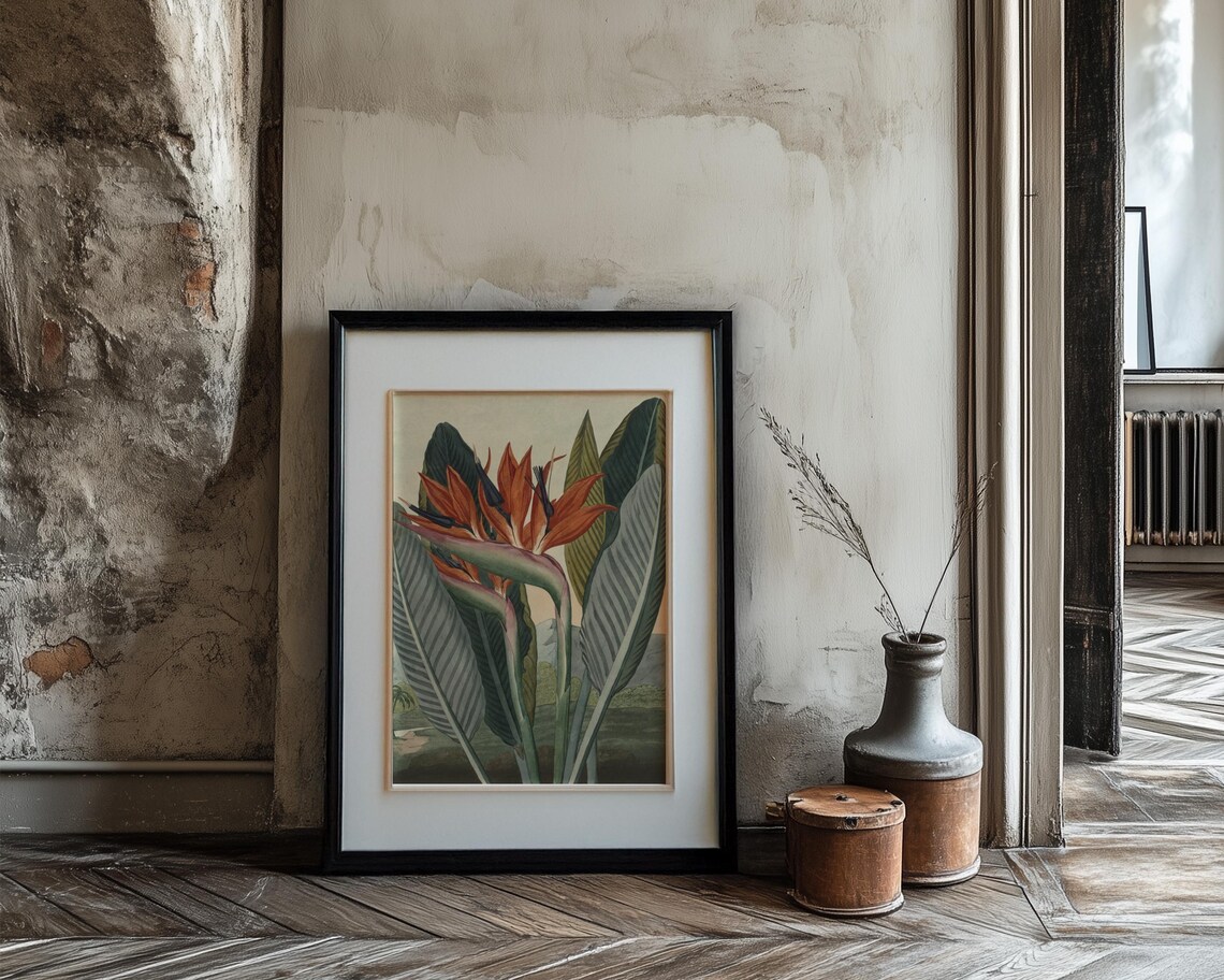 Bird of Paradise Tropical Flower Vintage Botanical Illustration Poster - Image 3