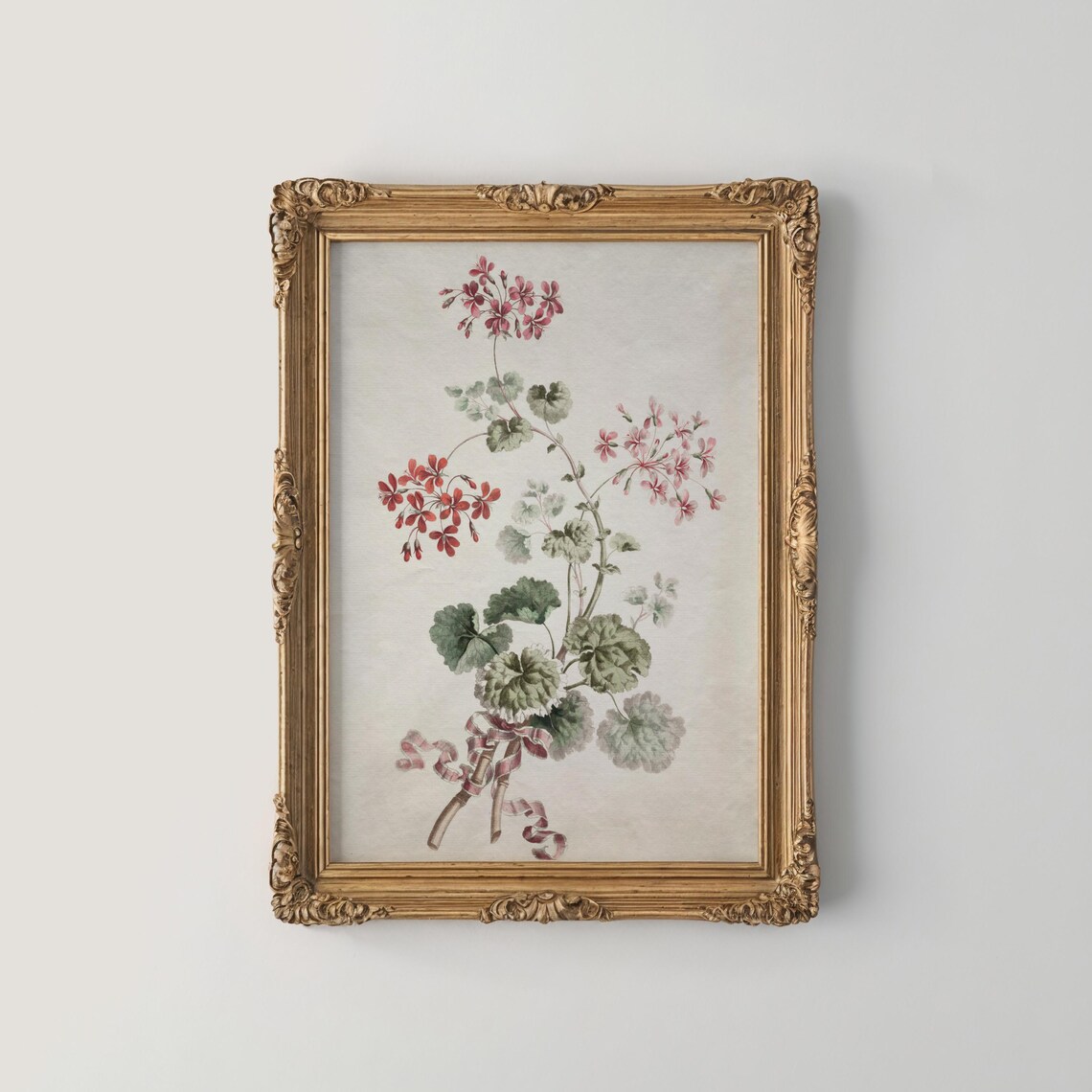 Pink And Red Geranium Stems Tied With Ribbon Botanical Print