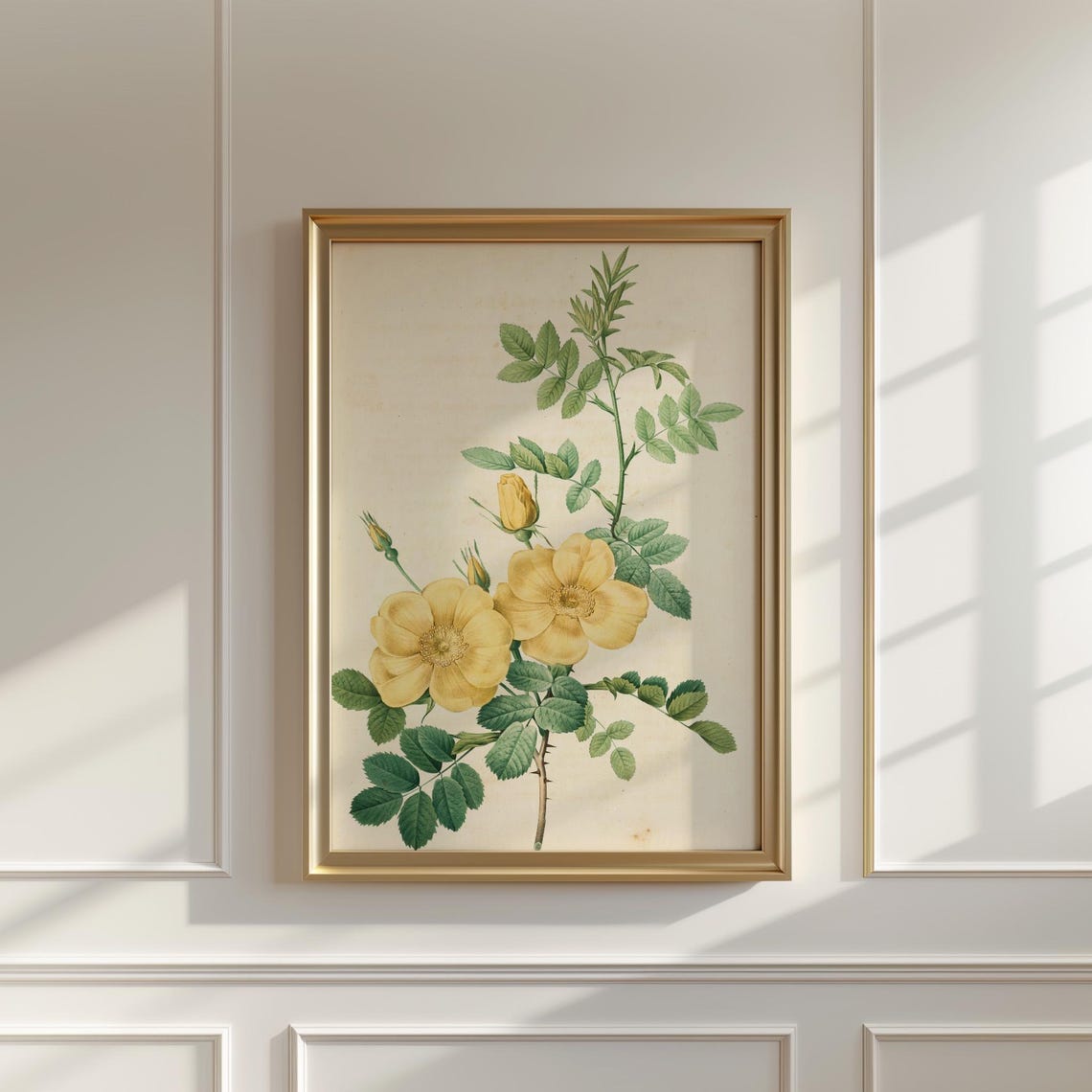 Yellow Wild Rose Blooms Vintage Botanical Illustration Poster - Image 5