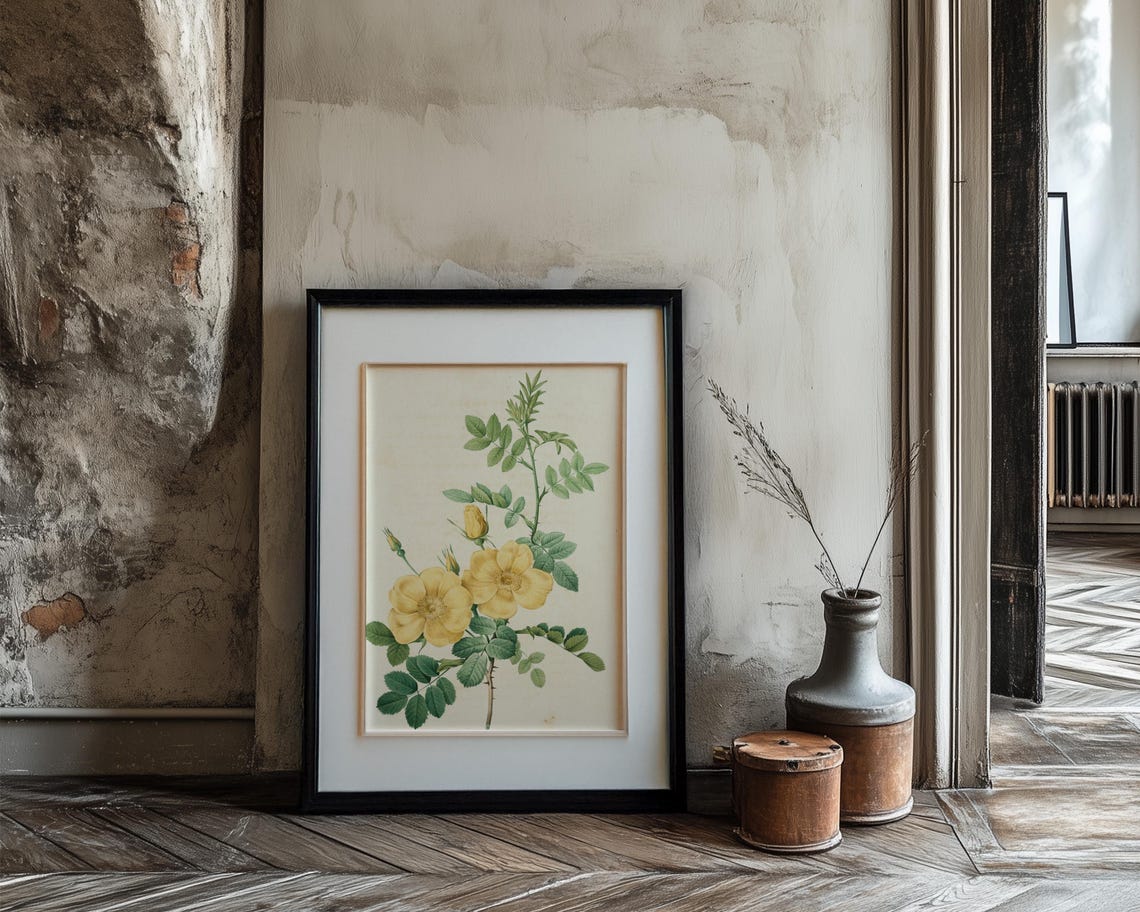 Yellow Wild Rose Blooms Vintage Botanical Illustration Poster - Image 3