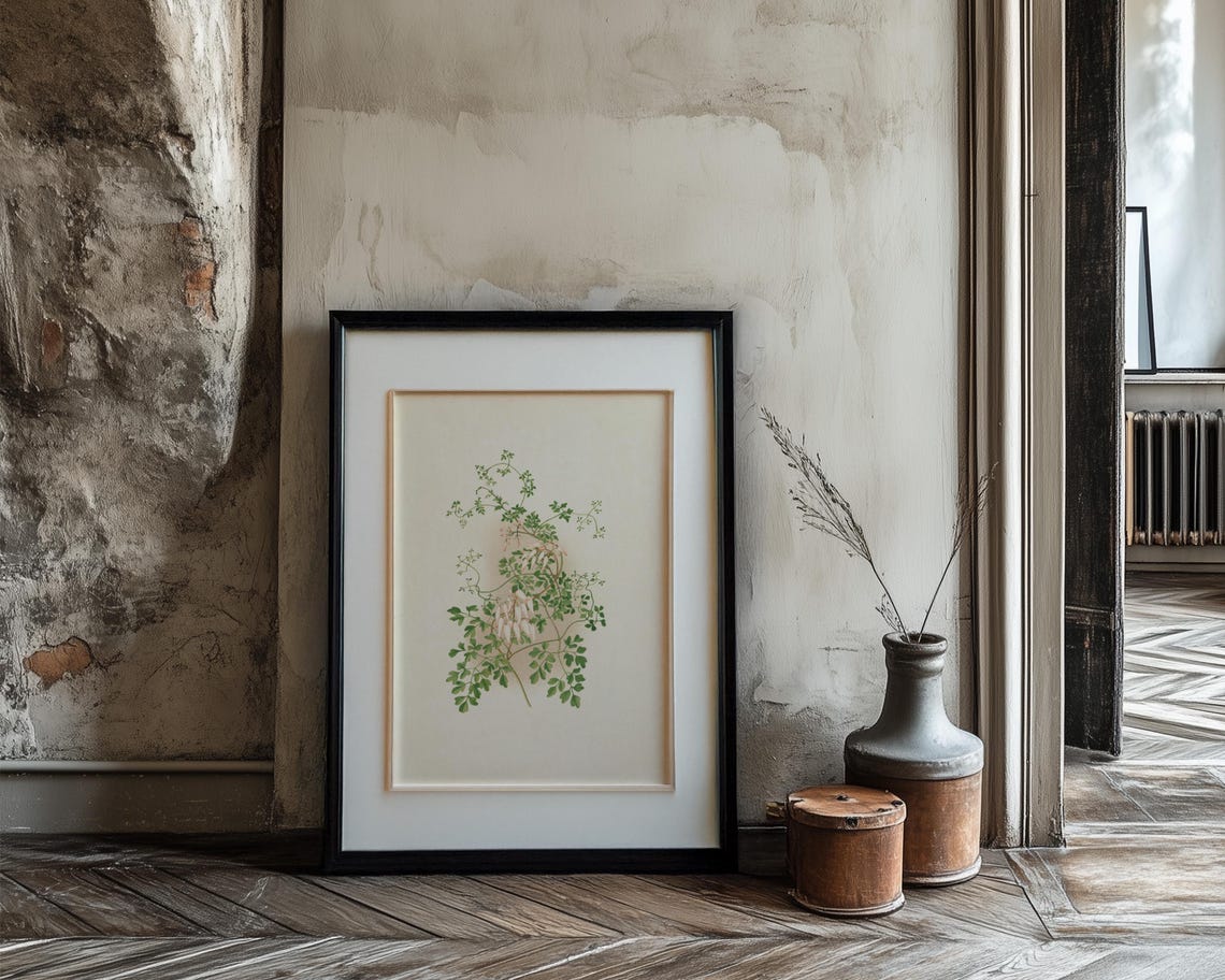 Climbing Vine Botanical Illustration Pink Buds Fern Leaves Poster - Image 3